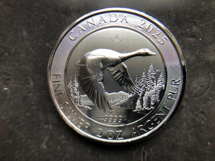 2025 Canada - Goose - 2 oz silver, Postzegels en Munten, Edelmetalen en Baren, Zilver, Ophalen of Verzenden