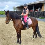 Brave C pony met veel wedstrijdervaring, Dieren en Toebehoren, Merrie, B, Gechipt, C pony (1.27m tot 1.37m)