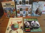 5 livres éducatifs pour enfants, Non-fiction, Utilisé, Enlèvement ou Envoi