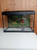 Aquarium decoratie vissen +- 60 liter met achtergrond, Dieren en Toebehoren, Vissen | Aquaria en Toebehoren, Ophalen of Verzenden