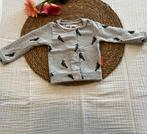 Vestje, Maat 50, Kinderen en Baby's, Babykleding | Maat 50, Ophalen of Verzenden, Zo goed als nieuw, Jongetje of Meisje, Truitje of Vestje
