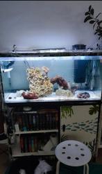 Aquarium 200l, Dieren en Toebehoren, Vissen | Aquaria en Toebehoren, Ophalen, Gebruikt