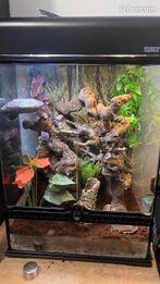 Terrarium exo terra, Dieren en Toebehoren, Ophalen, Zo goed als nieuw
