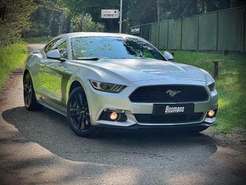 FORD MUSTANG 2.3 i ECOBOOST beschikbaar voor biedingen