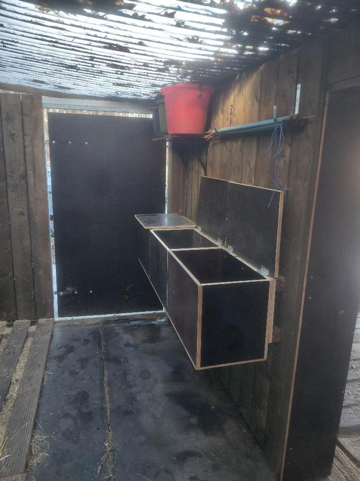 Weide te huur, Animaux & Accessoires, Box & Pâturages, Mise à l'étable, Pâturage, Accessoires, 2 ou 3 chevaux ou poneys