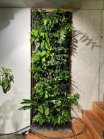 FYTOTEXTILE verticale tuin / groene wand / binnen & buiten, Gebruikt, Ophalen, Planten