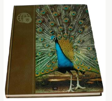 Royaume des animaux - volume N1 ( de: abeille à ascidies) -, Neuf, Enlèvement ou Envoi, Tome à part, Animaux