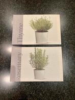 Lot de 2 toiles Herbes aromatiques Excellent état 30x20 cm, Maison & Meubles, Comme neuf