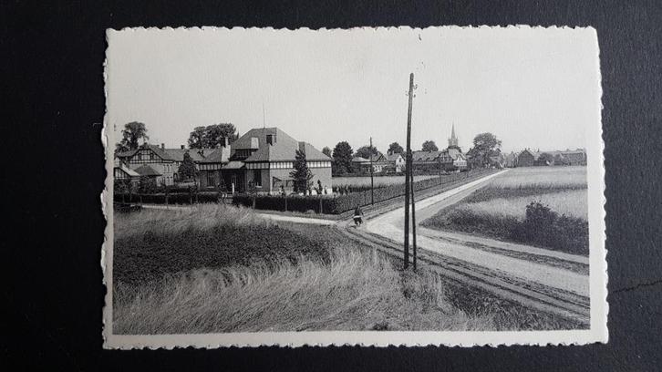 Geel Staatskolonie Zicht langs de Zuidkant, Verzamelen, Postkaarten | België, Ongelopen, Antwerpen, 1940 tot 1960, Ophalen of Verzenden