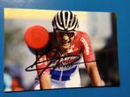 wielerfoto mathieu van der poel signe, Verzenden, Zo goed als nieuw