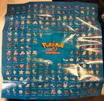 Pokémon EX Ruby & Sapphire  en EX Sandstorm card list poster, Ophalen of Verzenden, Zo goed als nieuw, Boek of Catalogus