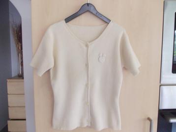 Gilet-Pull van Donaldson. maat 128., Enlèvement ou Envoi, Pull ou Veste, Comme neuf, DONALDSON.