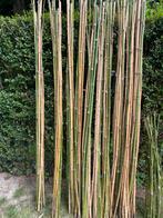 Tuteurs bambous pour potager ou fleurs, Ophalen