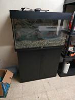 Juwel rio125 led + kast, Dieren en Toebehoren, Ophalen, Gebruikt