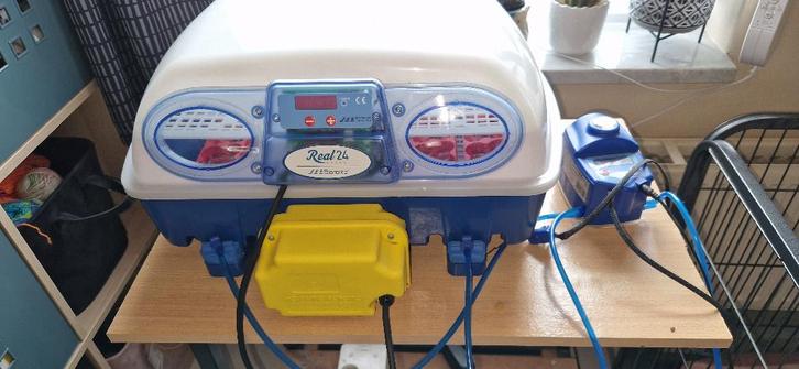 Borotto broedmachine voor 24 (kriel)kip eitjes of 96 kwartel, Dieren en Toebehoren, Pluimvee | Toebehoren, Zo goed als nieuw, Broedmachine