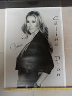 Dubbelzijdige poster Celine Dion, Collections, Comme neuf, Autres sujets/thèmes, 1980 à nos jours, Enlèvement ou Envoi