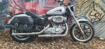 harley sportster low, Chopper, 2 cylindres, Particulier, 883 cm³
