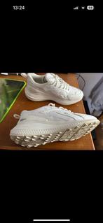 Chaussure lacoste 43, Kleding | Heren, Schoenen, Wit, Ophalen of Verzenden, Zo goed als nieuw, Sneakers