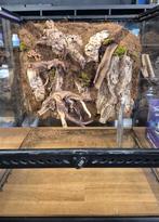 Paludarium 45 45 45, Enlèvement, Comme neuf, Terrarium ou Paludarium