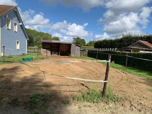 Stalling paard/pony, Dieren en Toebehoren, Stalling en Weidegang, Stalling