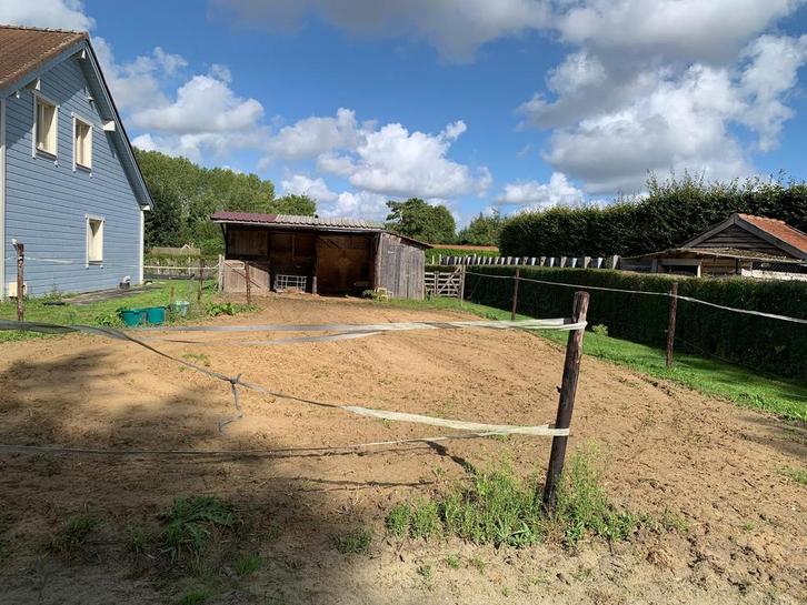 Stalling paard/pony, Dieren en Toebehoren, Stalling en Weidegang, Stalling