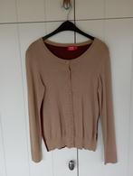 Gilet en tricot tendance Libelle by E5 à col rond en 2 coule, Vêtements | Femmes, Neuf, Taille 38/40 (M), Enlèvement ou Envoi