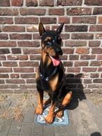 Grote porseleinen Dobermann beeld, Ophalen, Zo goed als nieuw