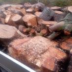 aanhangwagen , stammen treurwilg, Moins de 3 m³, Enlèvement, Autres essences de bois, Troncs d'arbres