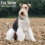 Calendrier Fox Terrier à poil dur 2025, Divers, Calendriers, Enlèvement ou Envoi, Calendrier annuel, Neuf