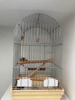 Papegaai parkieten vogelkooi, Dieren en Toebehoren, Ophalen, Zo goed als nieuw