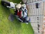Ducati monster 696, Naked bike, Particulier, 2 cylindres, 696 cm³