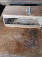 transportbakje, Enlèvement, Utilisé, Bois