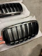 Bmw x5 F15 grill, Ophalen of Verzenden, Gebruikt, Voor, BMW