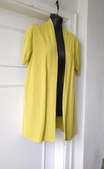 Gigue zacht (limoen)groen open gilet, maatje 42, Kleding | Dames, Gigue, Maat 42/44 (L), Ophalen of Verzenden, Gedragen