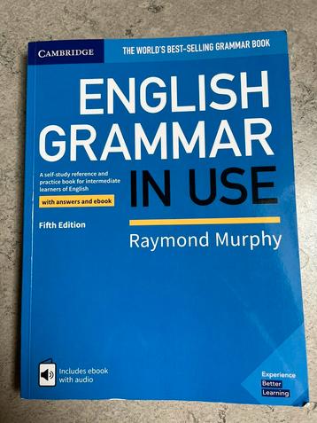 Handboek English grammar in use beschikbaar voor biedingen