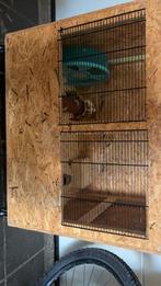 Hamsterkooi+hamster, Dieren en Toebehoren, Knaagdieren en Konijnen | Hokken en Kooien, Ophalen, Kooi, 60 tot 90 cm, Zo goed als nieuw