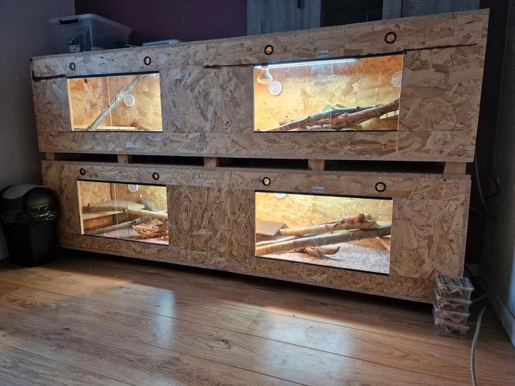 Terrarium op maat gemaakt in OSB., Dieren en Toebehoren, Reptielen en Amfibieën