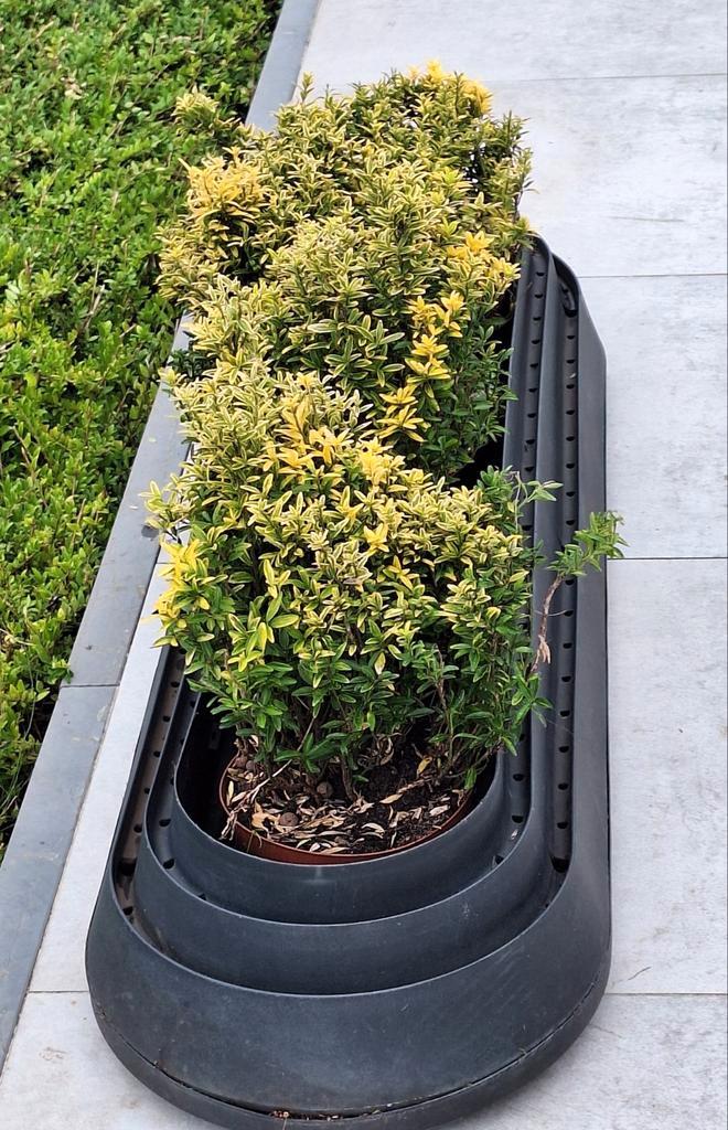 Moestuinbak, bloemenbak, kruidenbak  zwarte PVC, Tuin en Terras, Planten | Struiken en Hagen, Ophalen