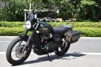 TRIUMPH STREET SCRAMBLER - 35 KW, Motos, Motos | Triumph, Naked bike, 12 à 35 kW, 2 cylindres, 900 cm³