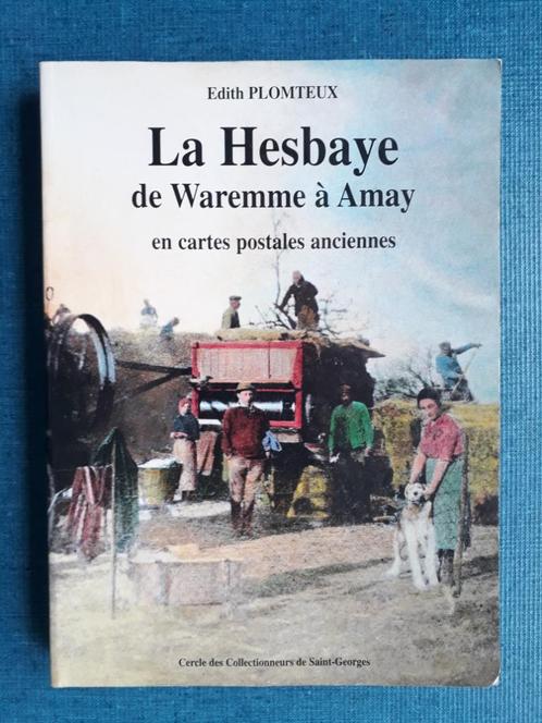 Haspengouw van Waremme tot Amay in oude ansichtkaarten, Boeken, Geschiedenis | Nationaal, Gelezen, Ophalen of Verzenden