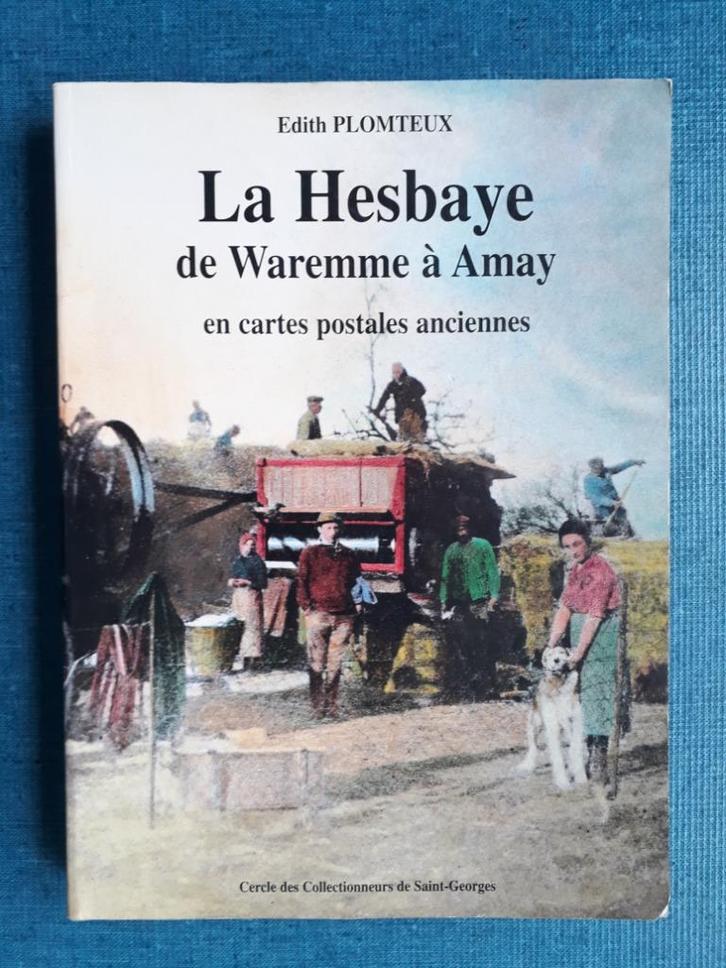 Haspengouw van Waremme tot Amay in oude ansichtkaarten, Boeken, Geschiedenis | Nationaal, Gelezen, Ophalen of Verzenden