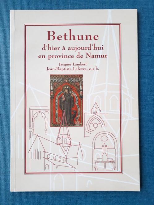 Bethune van gisteren tot vandaag in de provincie Namen, Boeken, Geschiedenis | Nationaal, Gelezen, Ophalen of Verzenden