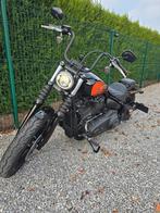 Harley Davidson Street Bob 114, Particulier