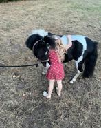 Kinderpony, Dieren en Toebehoren, Pony's, Ruin, Springpony, Zadelmak, A pony (tot 1.17m)