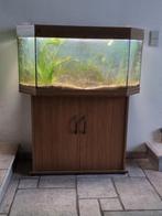 Juwell aquarium met bijhorende kast., Dieren en Toebehoren, Vissen | Aquaria en Toebehoren, Ophalen of Verzenden, Zo goed als nieuw