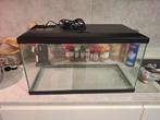 Aquarium 60 liter, Dieren en Toebehoren, Vissen | Aquaria en Toebehoren, Ophalen