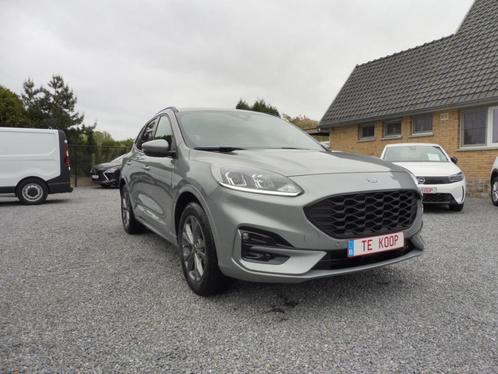 Ford Kuga 1.5 EcoBoost 150 St-Line/13 km/vele opties, Autos, Ford, Entreprise, Achat, Kuga, ABS, Caméra de recul, Phares directionnels