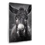 Zwart wit ezel canvas 60x90cm - 18mm., Antiek en Kunst, Kunst | Schilderijen | Modern, Verzenden