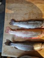 Forel, Ophalen