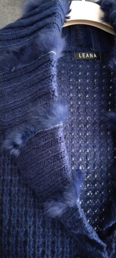 nieuwe gilet/vest Leana, Kleding | Dames, Truien en Vesten, Nieuw, Maat 38/40 (M), Blauw, Verzenden